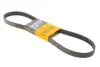 Доріжковий пас Continental 6PK1090 ELAST (фото 1)