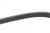 Доріжковий пас continental 6 PK 2090