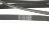 Доріжковий пас continental 6PK2094