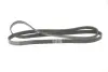 Доріжковий пас continental 6PK2094