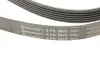Доріжковий пас continental 6PK2870