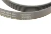 Доріжковий пас continental 6PK2870