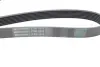Доріжковий пас continental 7PK1570