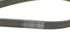 Доріжковий пас continental 7PK1647