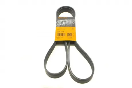 Доріжковий пас Continental 7PK1647