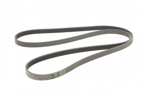 Приводной ремень генератора continental 5PK1840