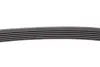 Дорiжковий ремінь continental 6PK1120 EXTRA