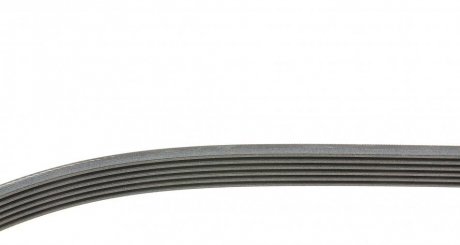 Дорiжковий ремінь continental 6PK1220