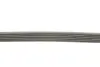 Дорiжковий ремінь continental 6PK1345 EXTRA