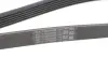 Дорiжковий ремінь Continental 6PK1401EXTRA (фото 4)
