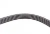 Дорiжковий ремінь continental 6PK2220 EXTRA