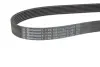 Дорiжковий ремінь Continental 7PK1051 ELAST (фото 3)