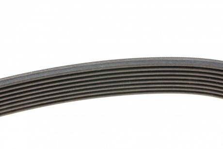 Привідний ремінь генератора continental 8PK1520