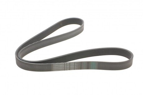 Привідний ремінь генератора continental 8PK1520