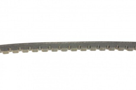 Клиновий пас continental AVX10X1350