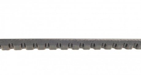 Клиновий пас continental AVX10X1500