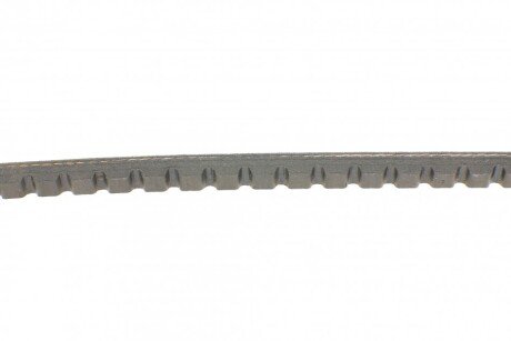 Привідний ремінь генератора continental AVX10X1325