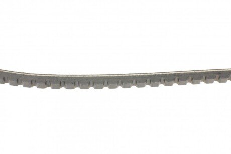 Привідний ремінь генератора continental AVX10X1650