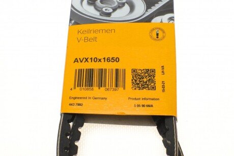 Привідний ремінь генератора continental AVX10X1650