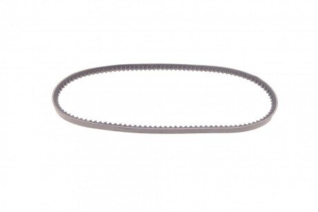 Привідний ремінь генератора continental AVX10X735