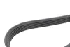 Комплект пасу поліклинового Continental 6PK1165K1 (фото 3)