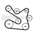 Комплект (ремінь+ролики+помпа) continental 7PK1605WP1