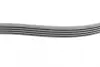 Комплект ремня грм continental 6PK1019 ELAST T1