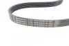 Комплект ремня грм continental 6PK1019 ELAST T1