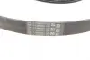 Комплект ремня грм continental 6PK1019 ELAST T1