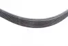 Комплект ремня грм continental 6PK1019 ELAST T1