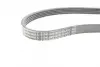 Комплект ремня грм continental 6PK1019 ELAST T1