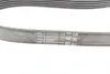 Комплект ремня грм continental 6PK1019 ELAST T1