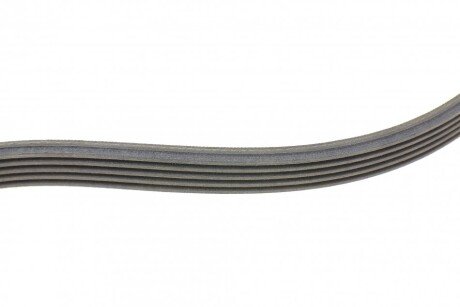 Комплект ремня грм continental 6PK1059ELASTT2