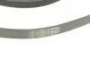 Комплект ремня грм continental 6PK1059 ELAST T2