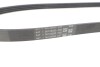 Multi V-Belt continental 4PK865ELAST