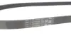 Multi V-Belt Continental 4PK865ELAST (фото 4)