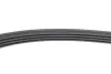 Multi V-Belt Continental 4PK865ELAST (фото 5)