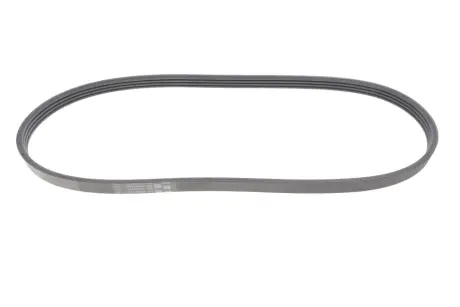 Multi V-Belt continental 4PK865ELAST