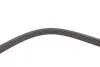 Пас полікліновий continental 5PK1427