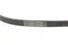 Пасок поліклиновий Continental 5PK768 (фото 3)