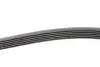 Пасок поліклиновий 6PK1530 continental 6 PK 1530