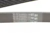 Пасок поліклиновий 6PK1530 continental 6 PK 1530