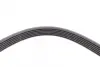 Пасок поліклиновий 6PK1718/1720 continental 6 PK 1720