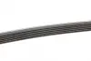Пасок полікліновий 6PK2310 continental 6 PK 2310