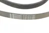Пасок полікліновий 6PK2310 continental 6 PK 2310