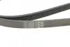 Пасок полікліновий 6PK2310 continental 6 PK 2310