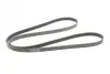 Пасок полікліновий 6PK2310 continental 6 PK 2310