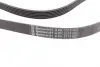 Пасок полікліновий 6PK2315 continental 6 PK 2315