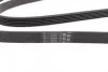 Пасок полікліновий 6PK2315 continental 6 PK 2315