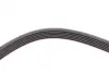 Пасок полікліновий 6PK2315 continental 6 PK 2315